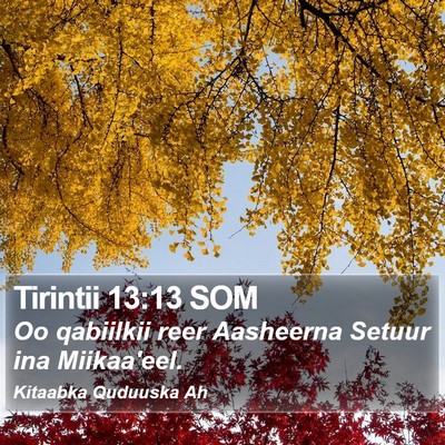 Tirintii 13:13 SOM Bible Verse Image