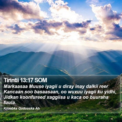 Tirintii 13:17 SOM Bible Verse Image