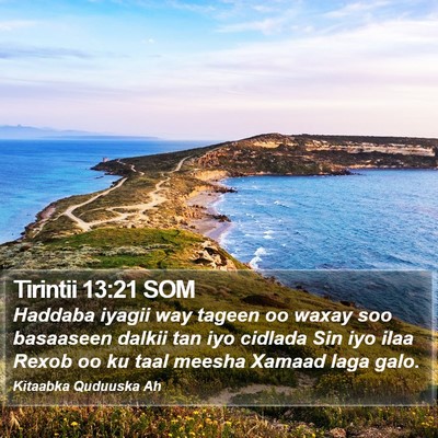 Tirintii 13:21 SOM Bible Verse Image