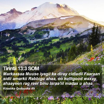 Tirintii 13:3 SOM Bible Verse Image