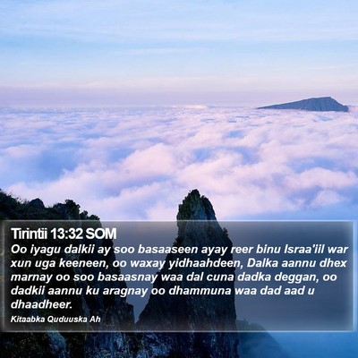 Tirintii 13:32 SOM Bible Verse Image