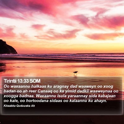 Tirintii 13:33 SOM Bible Verse Image