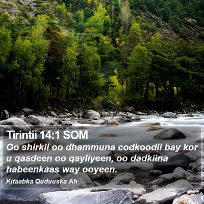 Tirintii 14:1 SOM Bible Verse Image