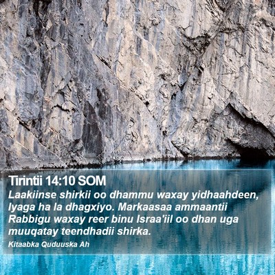 Tirintii 14:10 SOM Bible Verse Image