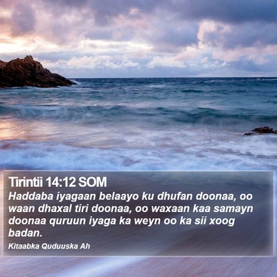 Tirintii 14:12 SOM Bible Verse Image