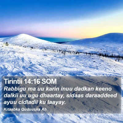 Tirintii 14:16 SOM Bible Verse Image