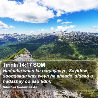 Tirintii 14:17 SOM Bible Verse Image