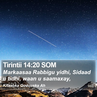 Tirintii 14:20 SOM Bible Verse Image
