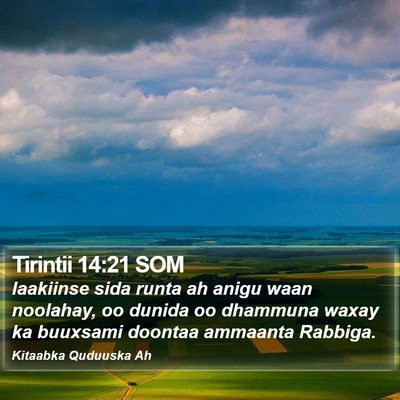 Tirintii 14:21 SOM Bible Verse Image