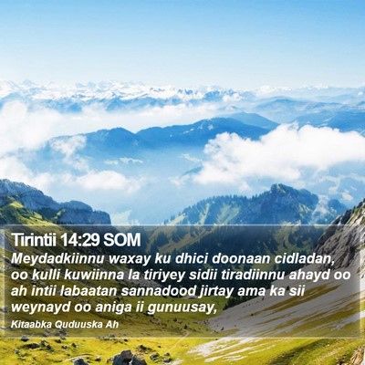 Tirintii 14:29 SOM Bible Verse Image