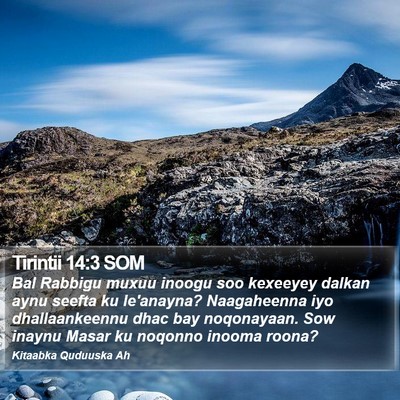 Tirintii 14:3 SOM Bible Verse Image