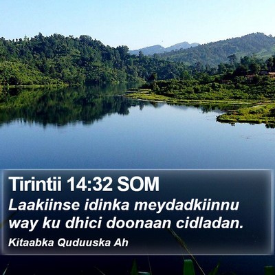 Tirintii 14:32 SOM Bible Verse Image