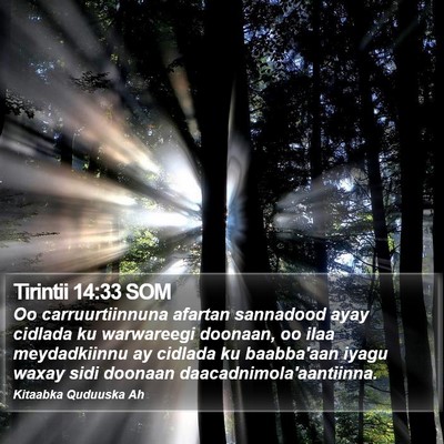 Tirintii 14:33 SOM Bible Verse Image