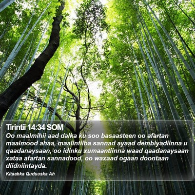 Tirintii 14:34 SOM Bible Verse Image