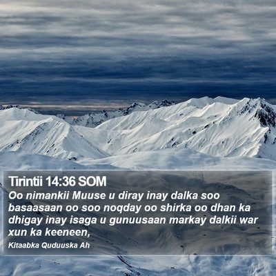 Tirintii 14:36 SOM Bible Verse Image