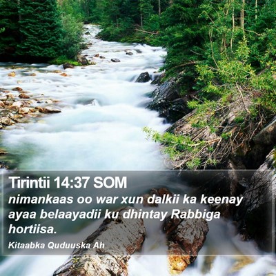 Tirintii 14:37 SOM Bible Verse Image