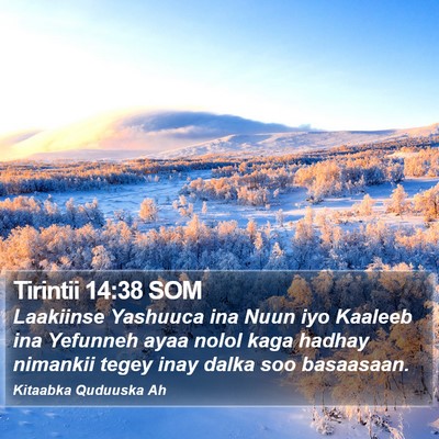 Tirintii 14:38 SOM Bible Verse Image