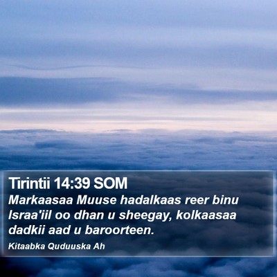 Tirintii 14:39 SOM Bible Verse Image