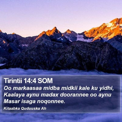 Tirintii 14:4 SOM Bible Verse Image