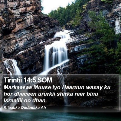 Tirintii 14:5 SOM Bible Verse Image