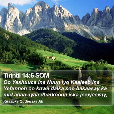 Tirintii 14:6 SOM Bible Verse Image