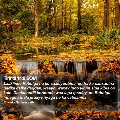 Tirintii 14:9 SOM Bible Verse Image