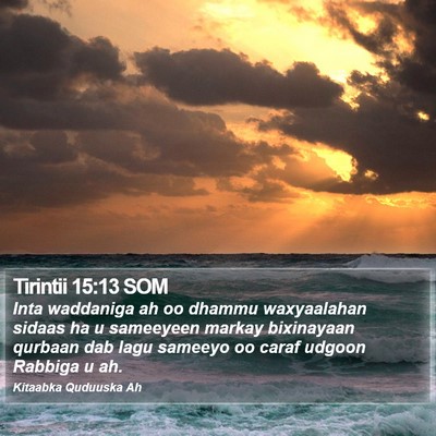 Tirintii 15:13 SOM Bible Verse Image