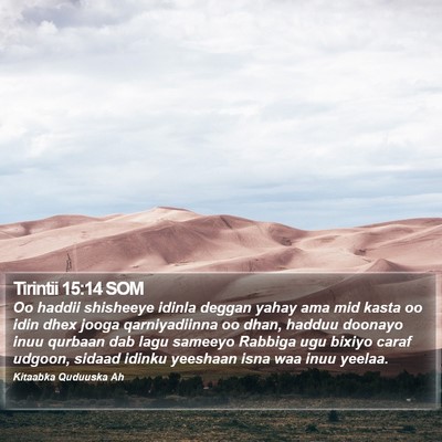 Tirintii 15:14 SOM Bible Verse Image