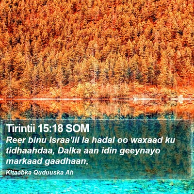Tirintii 15:18 SOM Bible Verse Image