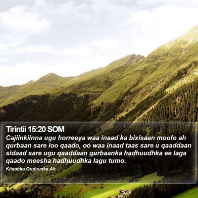 Tirintii 15:20 SOM Bible Verse Image