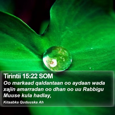 Tirintii 15:22 SOM Bible Verse Image