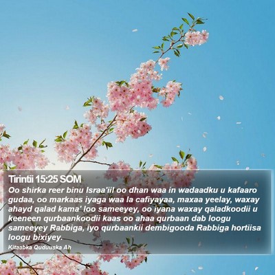 Tirintii 15:25 SOM Bible Verse Image