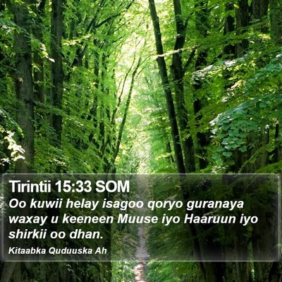 Tirintii 15:33 SOM Bible Verse Image
