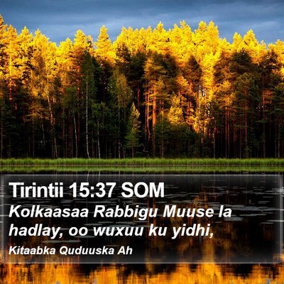 Tirintii 15:37 SOM Bible Verse Image