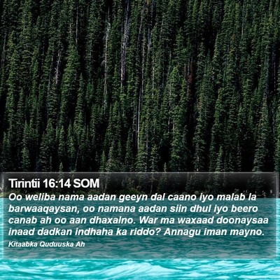 Tirintii 16:14 SOM Bible Verse Image