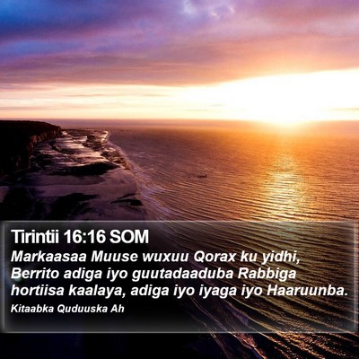 Tirintii 16:16 SOM Bible Verse Image