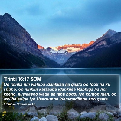 Tirintii 16:17 SOM Bible Verse Image