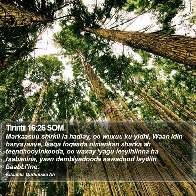 Tirintii 16:26 SOM Bible Verse Image