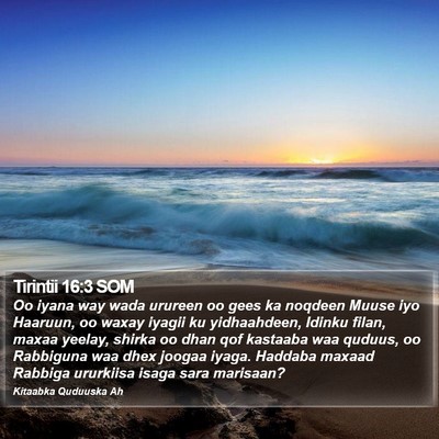 Tirintii 16:3 SOM Bible Verse Image