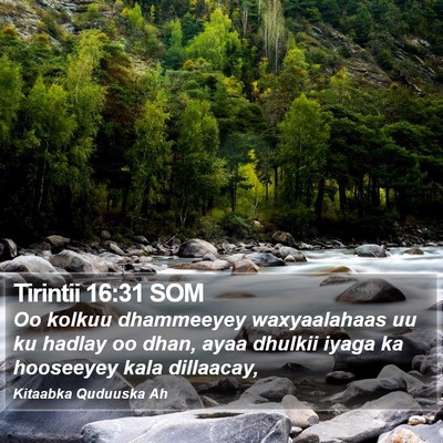 Tirintii 16:31 SOM Bible Verse Image