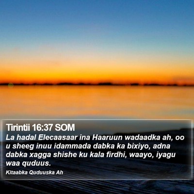 Tirintii 16:37 SOM Bible Verse Image