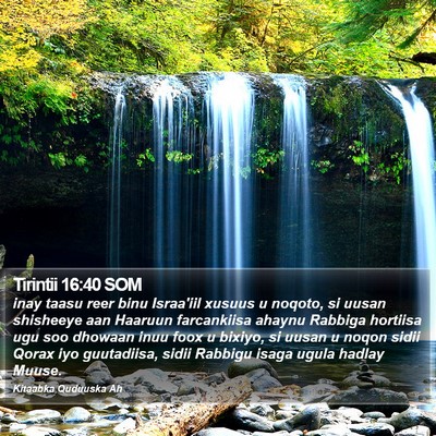 Tirintii 16:40 SOM Bible Verse Image