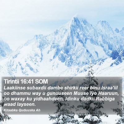 Tirintii 16:41 SOM Bible Verse Image