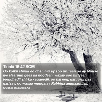 Tirintii 16:42 SOM Bible Verse Image