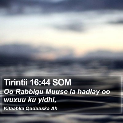 Tirintii 16:44 SOM Bible Verse Image