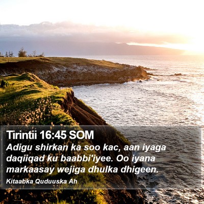 Tirintii 16:45 SOM Bible Verse Image