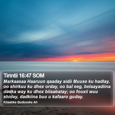 Tirintii 16:47 SOM Bible Verse Image