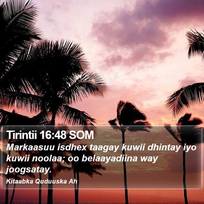 Tirintii 16:48 SOM Bible Verse Image