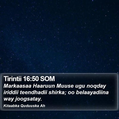 Tirintii 16:50 SOM Bible Verse Image