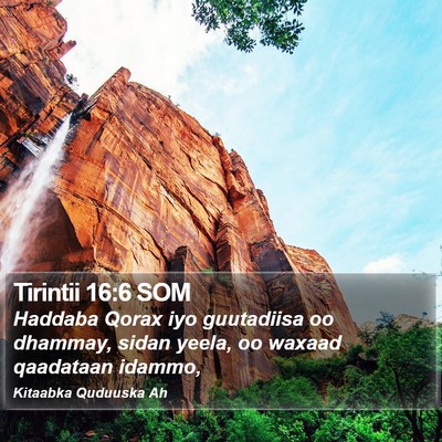 Tirintii 16:6 SOM Bible Verse Image